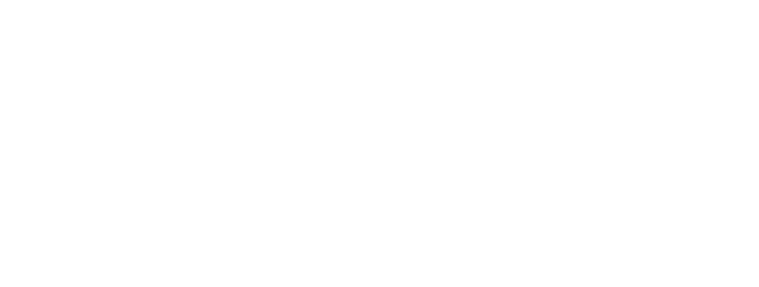 Easy Ice Primary Logo White